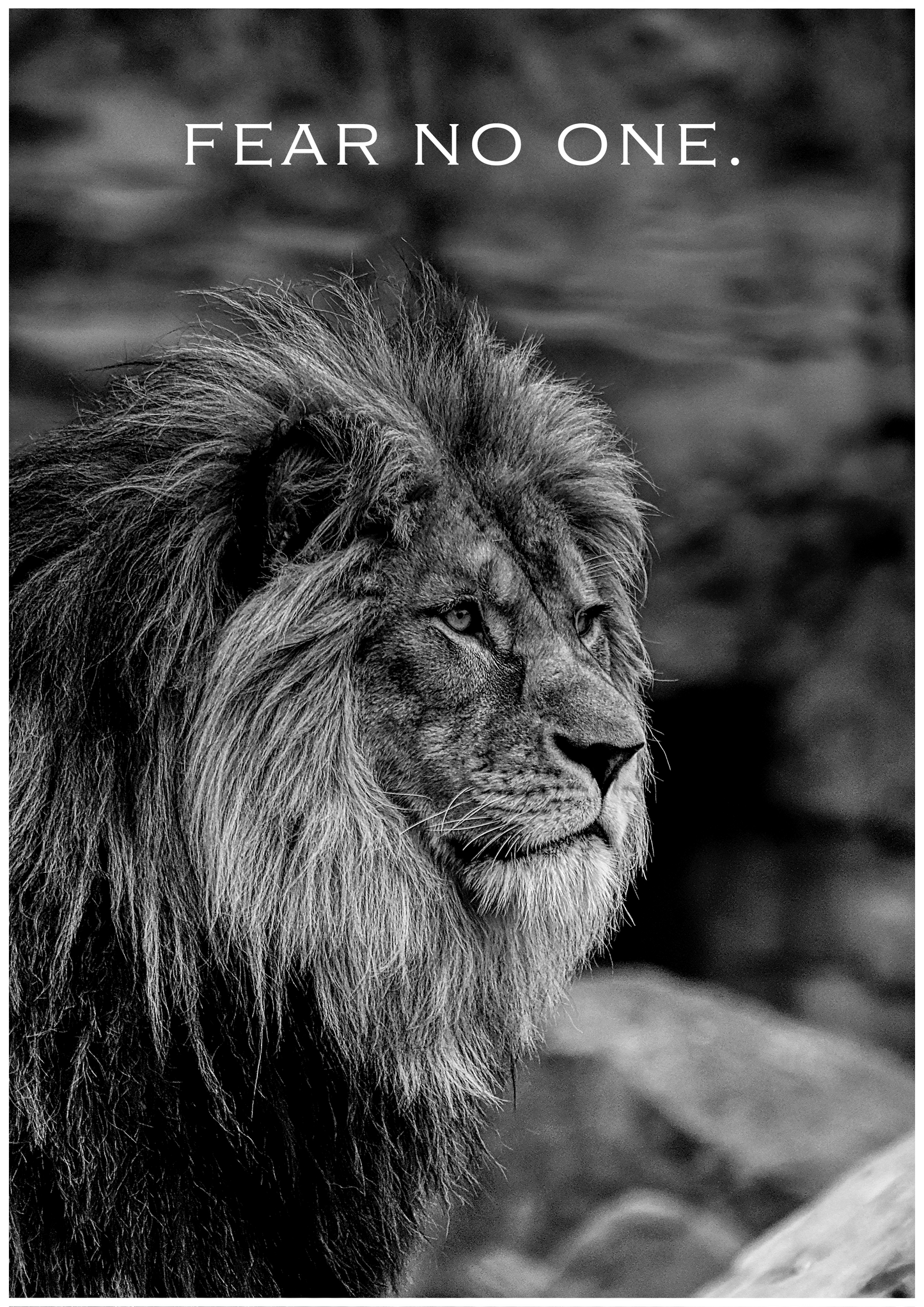 Fear No One – Limited Edition Lion Poster (Only 15 Made)