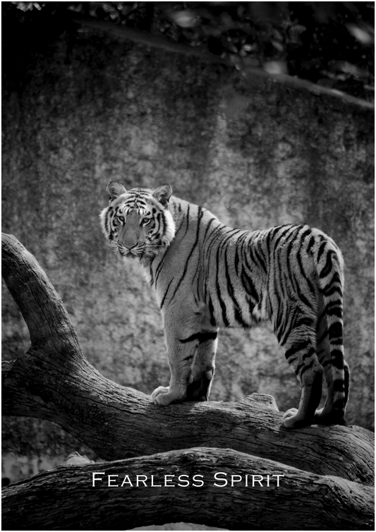 Fearless Spirit – Limited Edition Tiger Poster (Only 15 Made)