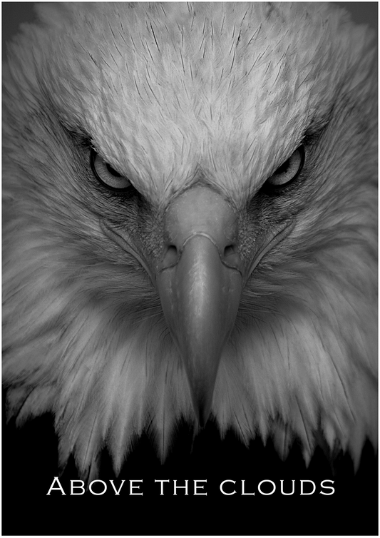 Above the Clouds – Limited Edition Eagle Poster (Only 15 Made)