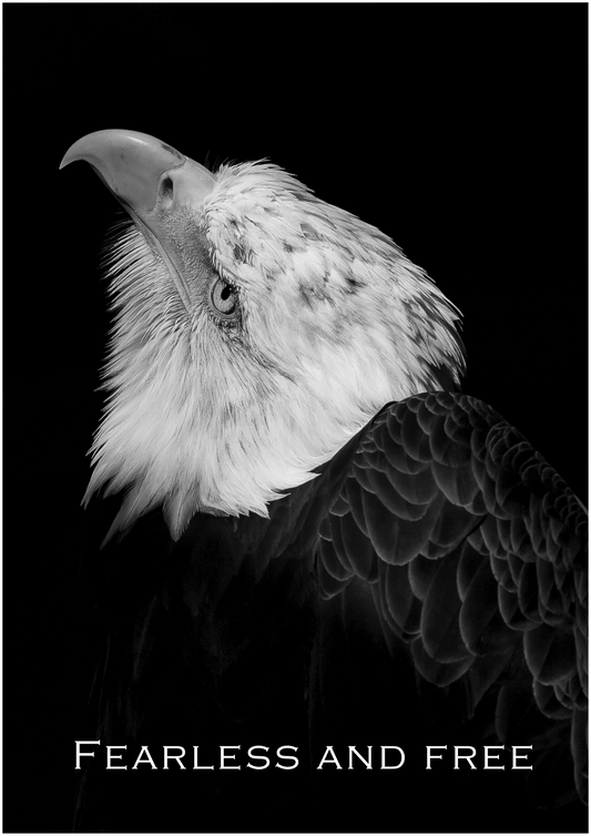 Fearless and Free – Limited Edition Eagle Poster (Only 15 Made)