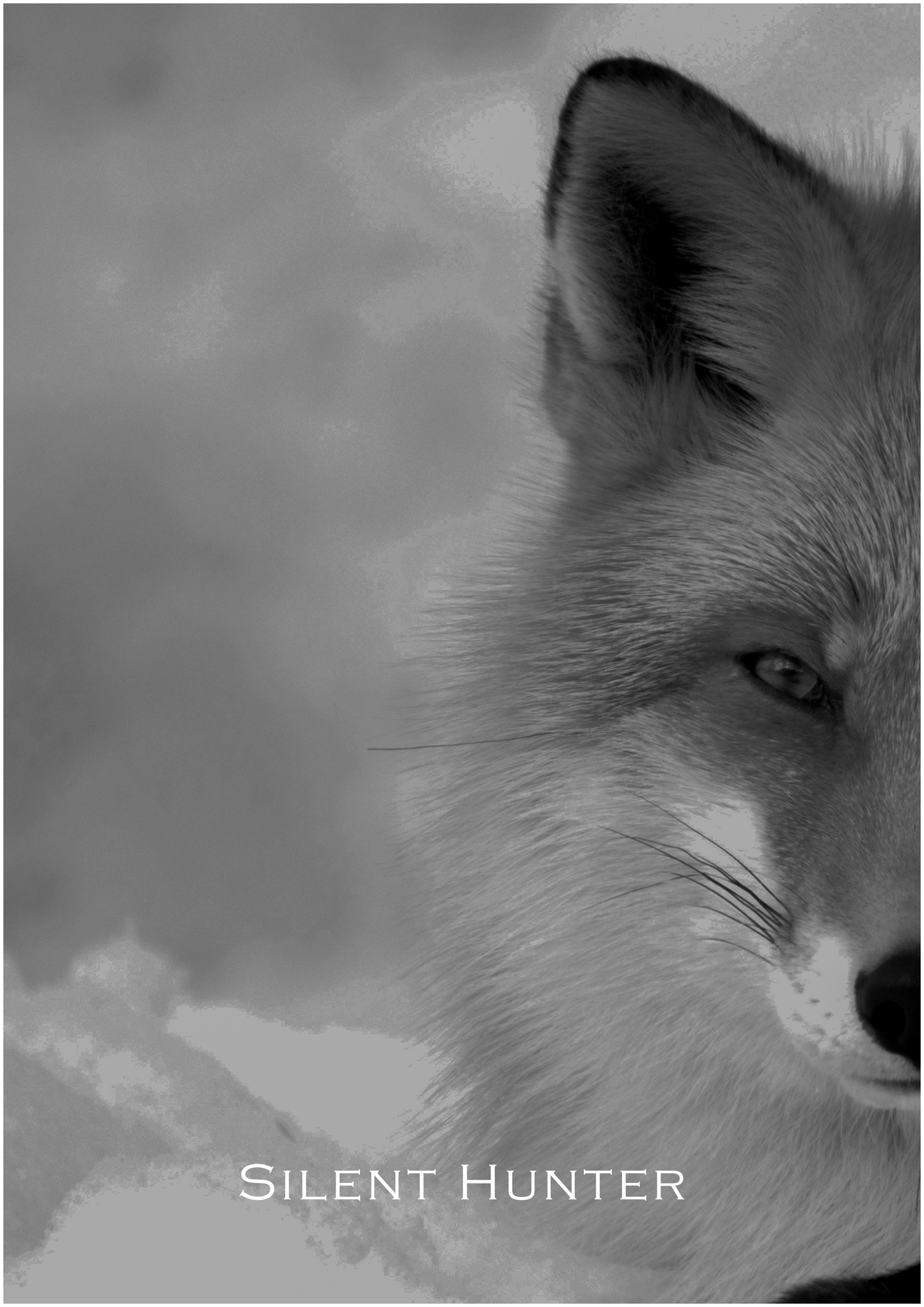 Silent Hunter – Limited Edition Fox Poster (Only 15 Made)