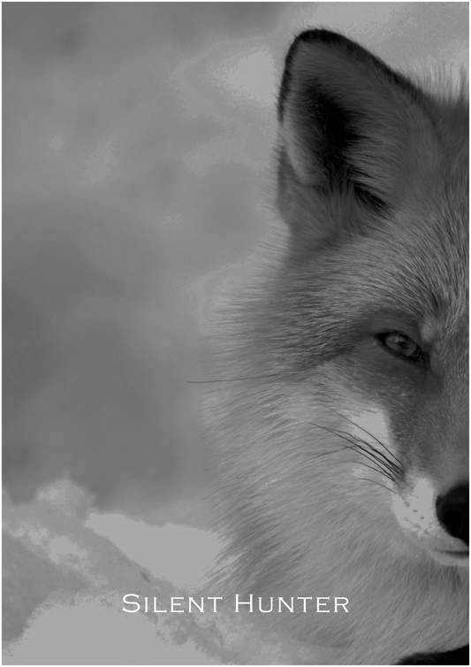 Silent Hunter – Limited Edition Fox Poster (Only 15 Made)