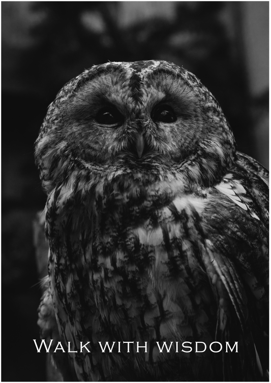 Walk with Wisdom – Limited Edition Owl Poster (Only 15 Made)