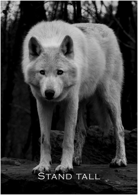 Stand Tall – Limited Edition Wolf Poster (Only 15 Made)